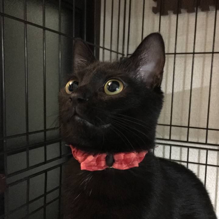 A88d6adf fcbb 4959 b9e4 d451b245956a