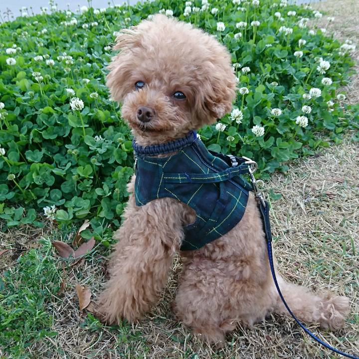 A88deeca b4f5 41a3 99b1 79cc4c229234