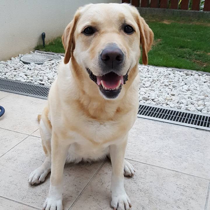 A88e1de4 4243 4cb8 85fc 486bda6ff38a