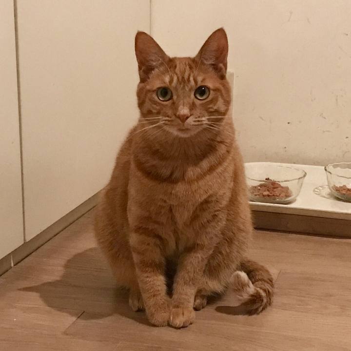 A88f0857 bc58 4df2 9889 fd4fc7900c53