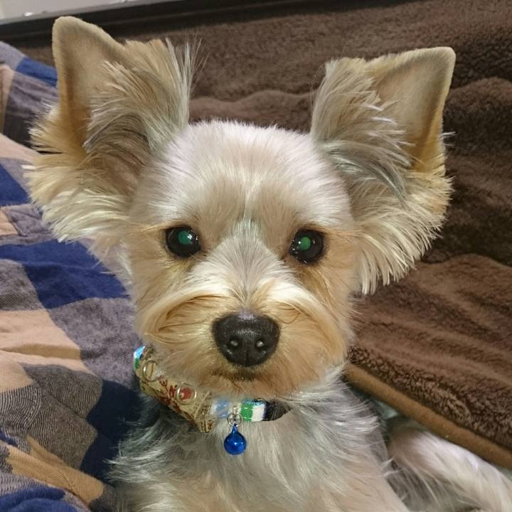 A88f2085 6f61 4d74 9452 d69fc3281e84