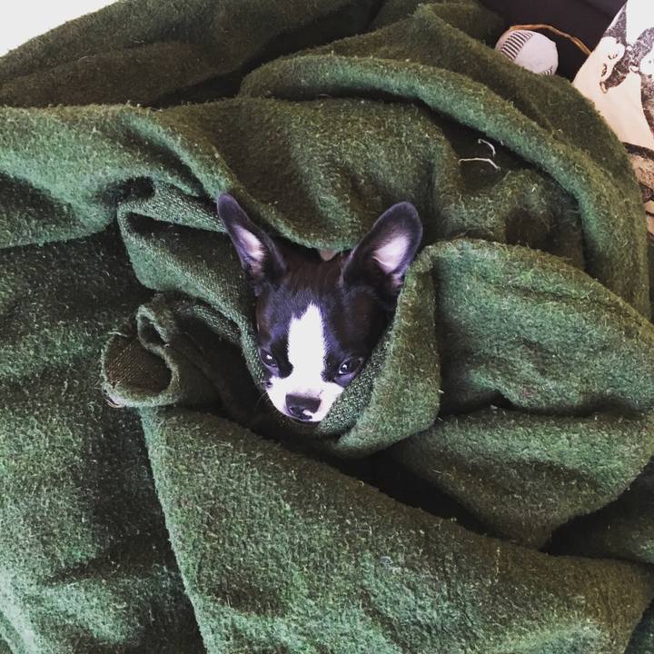 A88f4354 47b6 4546 9352 d1629599e7a5