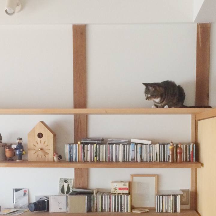 A8908753 7342 400a 9fa3 21ef070c6378