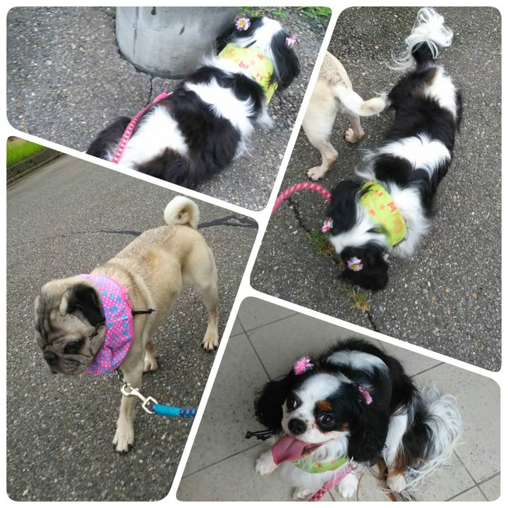 A891d07f d2fd 4032 87a7 1b2d86e05793