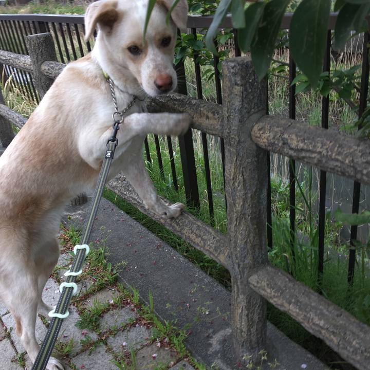 A89213c1 c2a3 443e 83a8 86ee62670d9a