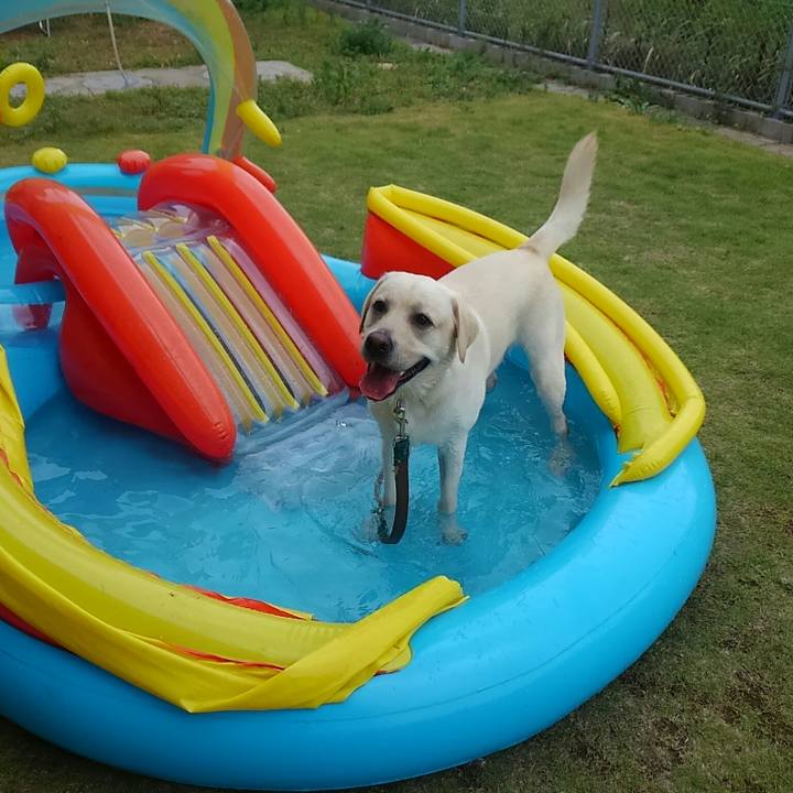 A89259e3 b3e8 42fc acb4 fbe005d3517a