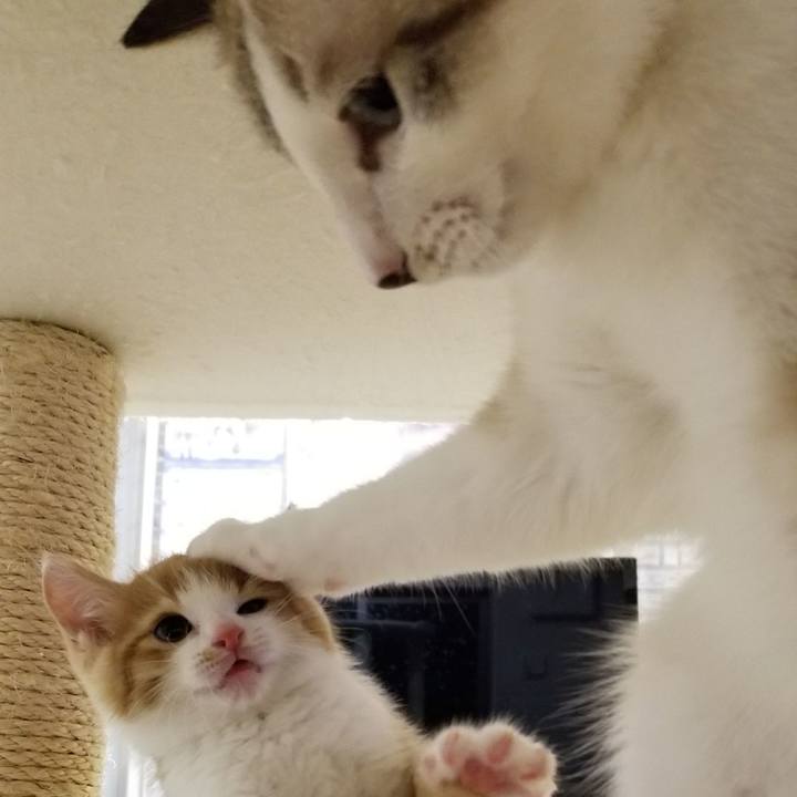 A8928a90 f023 414c a1df 6ebe8e85ba01