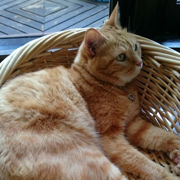 A89329bf c7b3 4cc1 a6ae a10cdc881cf7