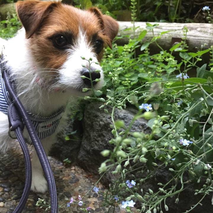 A893e1fb c2bc 4bc7 aa03 ffbe3334212f