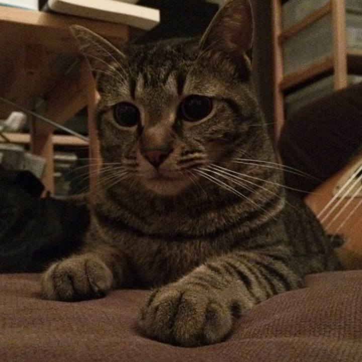 A8940164 2a25 467e 89fe 5194f45b4fe3