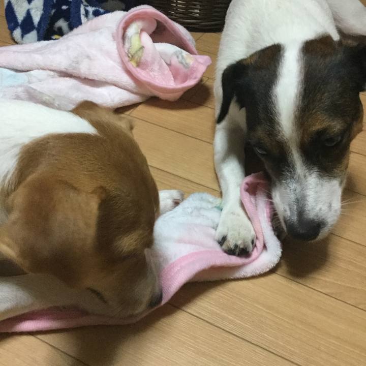 A8949f79 8247 4b74 b99f 06602eddf234