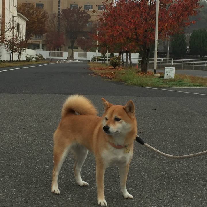 A894a197 df58 4f8c bf6f 1b64d46aab29