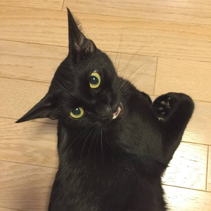 A895e227 6ef6 4ee6 ac78 03ae04c053c1