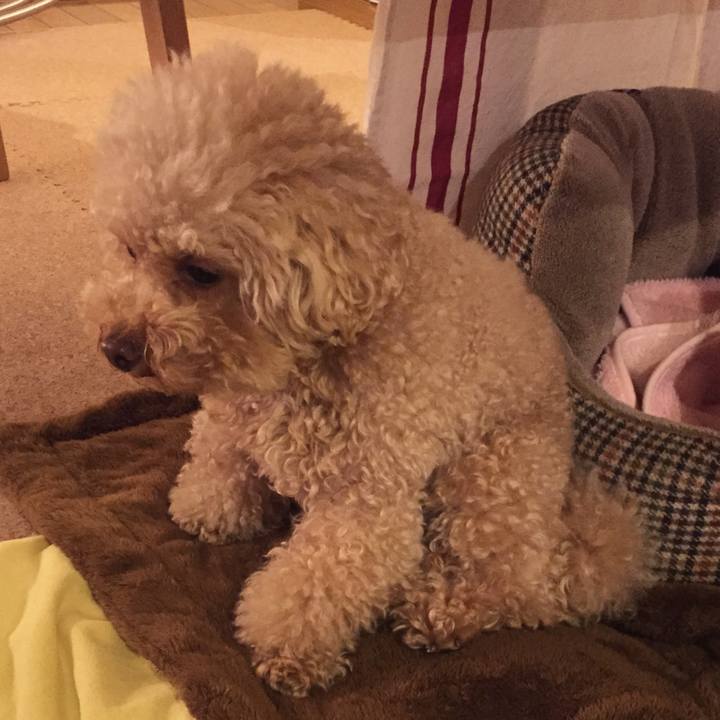 A896a4ff 1ae4 48df 8158 a52f3189f9b0