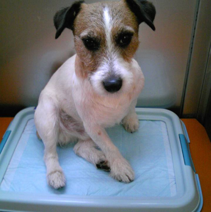 A896d4b5 a9e7 4625 b36c f40739858b34