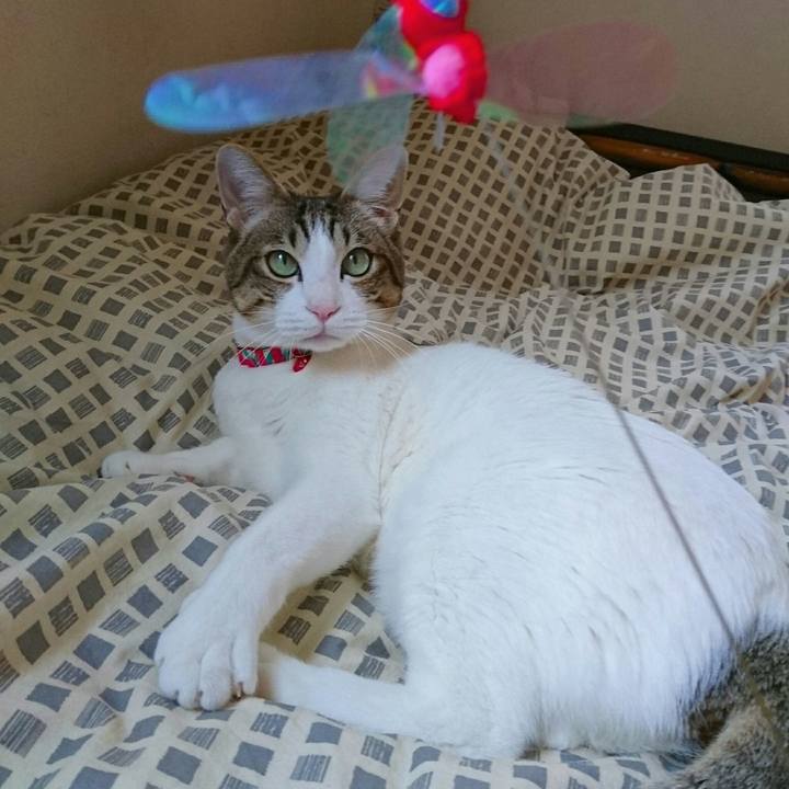 A897154f bc87 4f75 9b95 16a91a03be5a