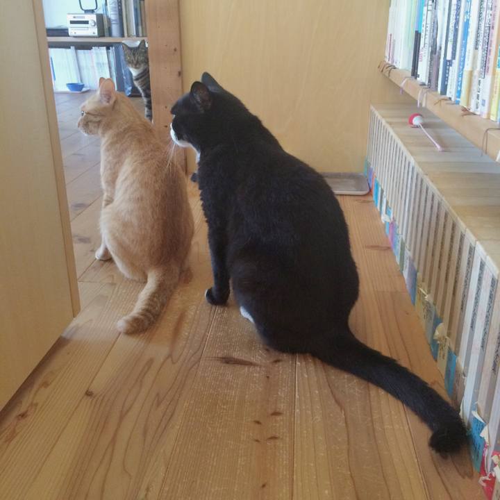 A8975675 6179 4359 a9b3 a35299b48dff