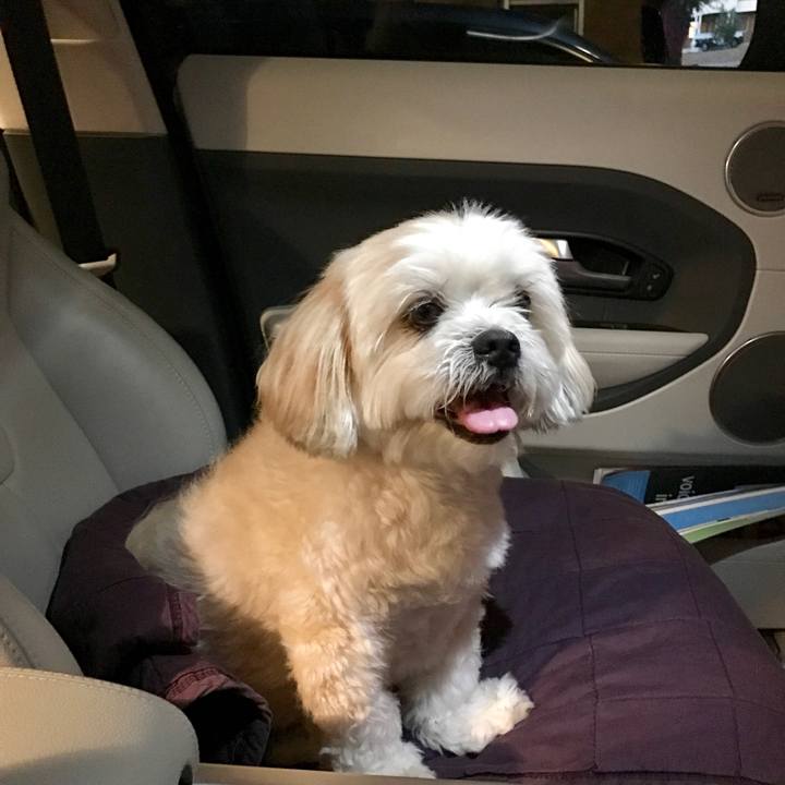 A897602f 78e3 4fe1 b9cc b9e16e7493b6