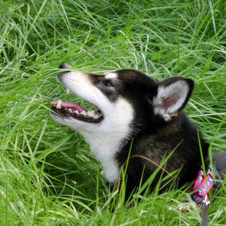 A897f8eb 62e5 46fd 8de8 f03778219883