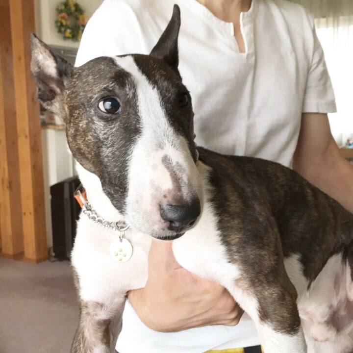 A8986b0b e610 4619 a391 3cd8a9e442b4