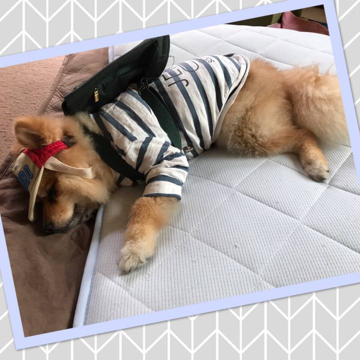 A898cd52 a1a3 4d72 a197 294e8d2729df