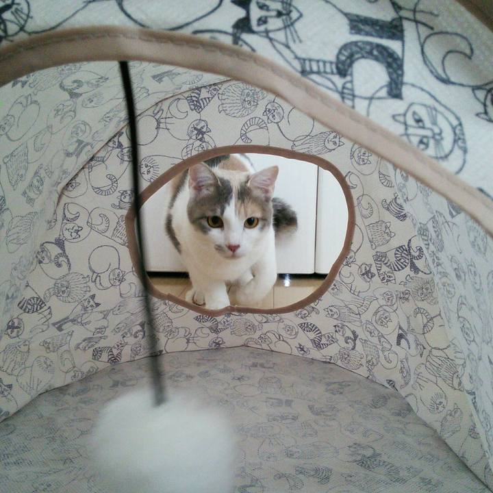 A898ec87 9961 4b10 bf5b f136abbbc1f3