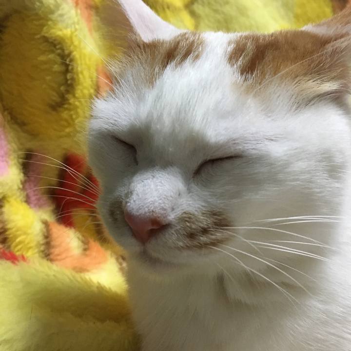 A899180a 9571 47f2 9e2a e2b06c64f43d