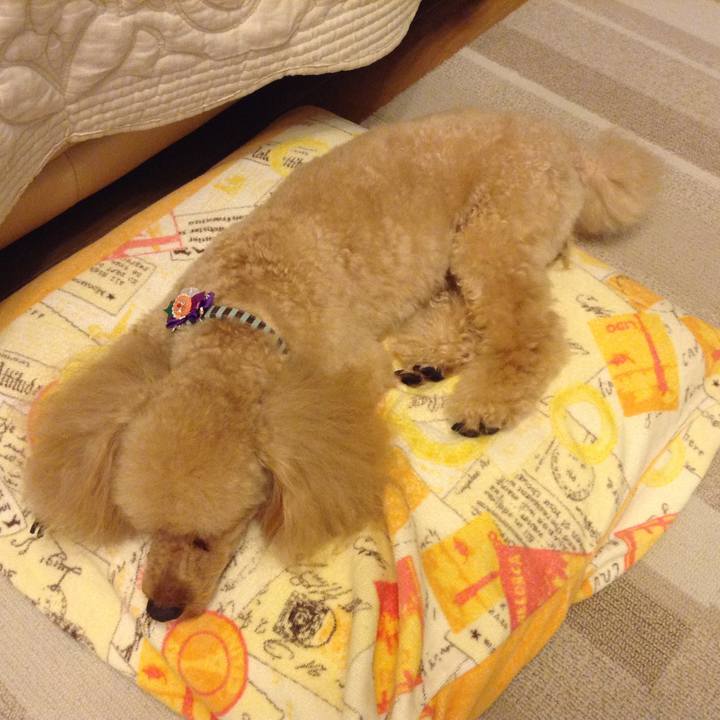 A899e2cf df98 4c80 b517 8e91a87da200