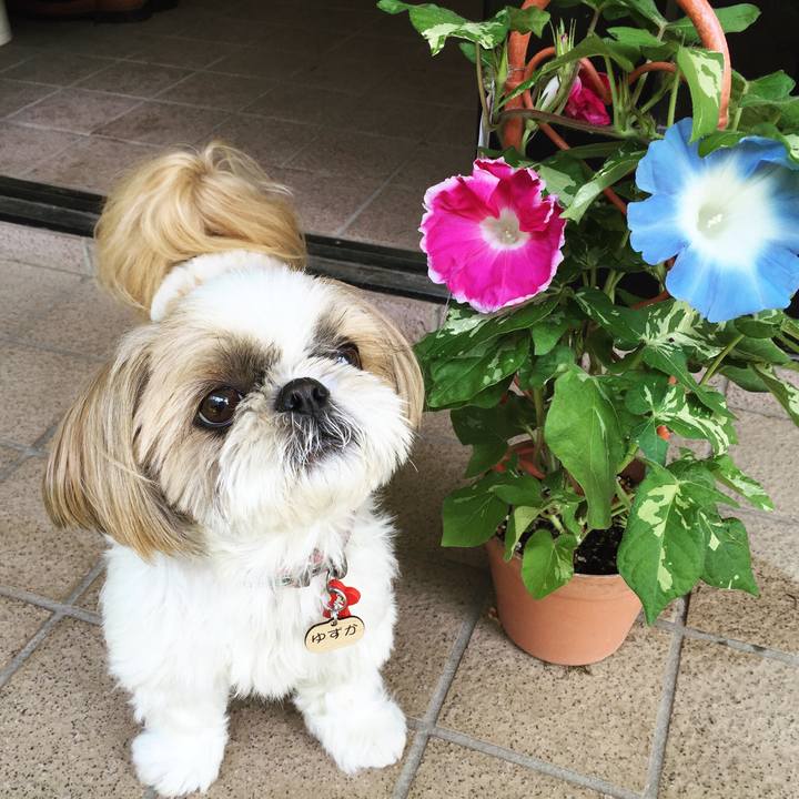 A89a0894 a28d 4348 ae8e 938eb7f8feaa