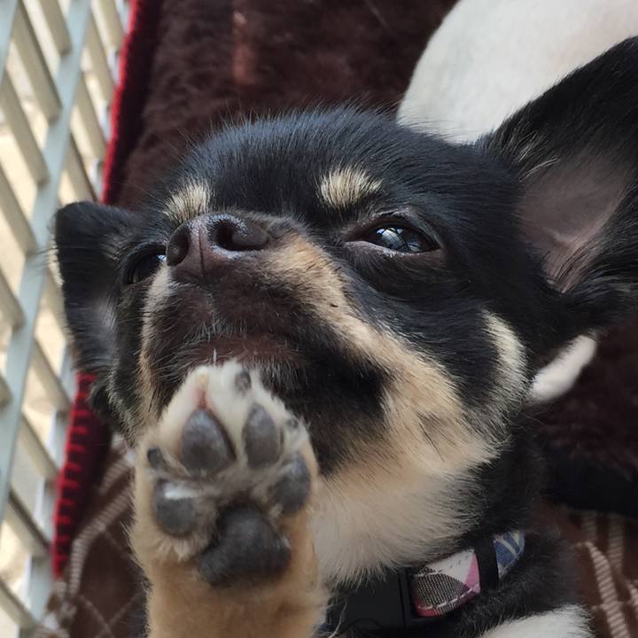 A89a84b0 7a45 461d b61a aaeb22c666be