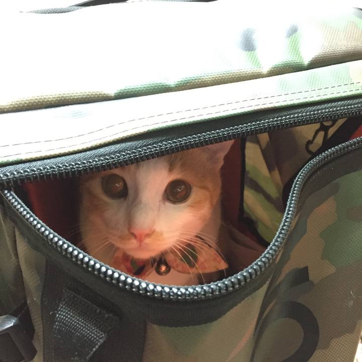 A89a935f 21bd 4f61 b9c5 38ea987aa10b