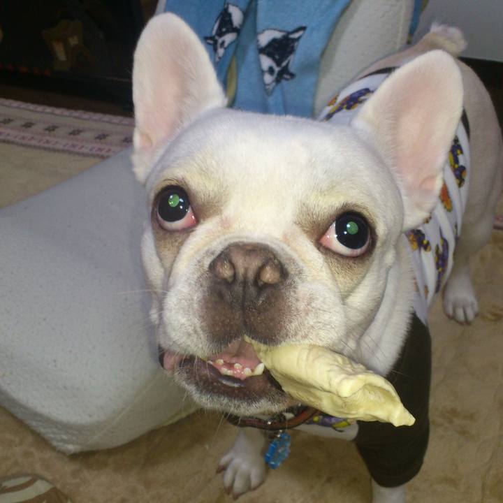 A89a94cc 4210 433d 8ebf 49635c957bf7