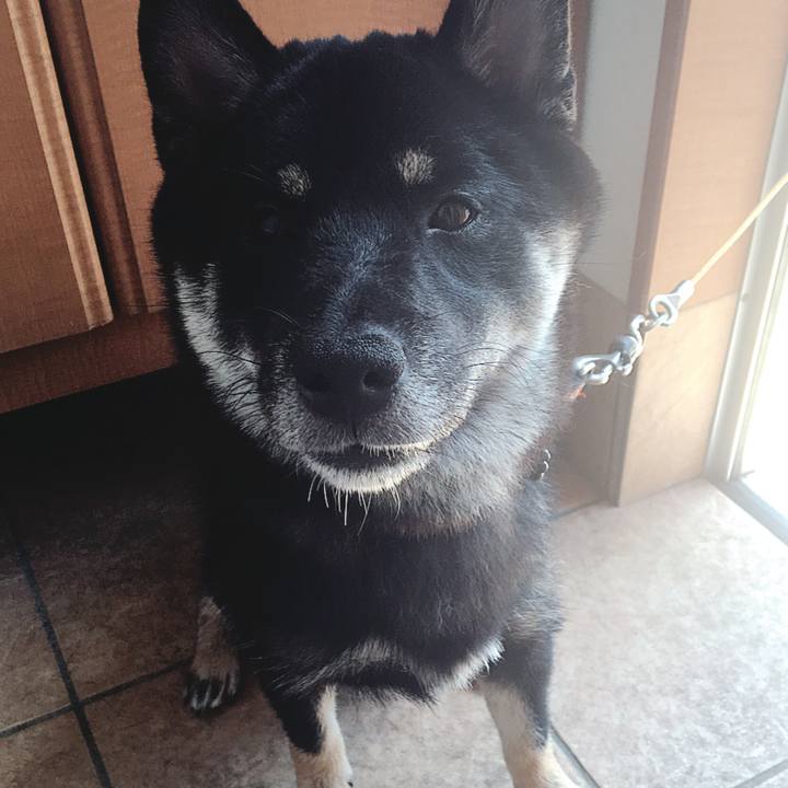 A89acceb 8e95 4c21 aae2 4bea556f584a