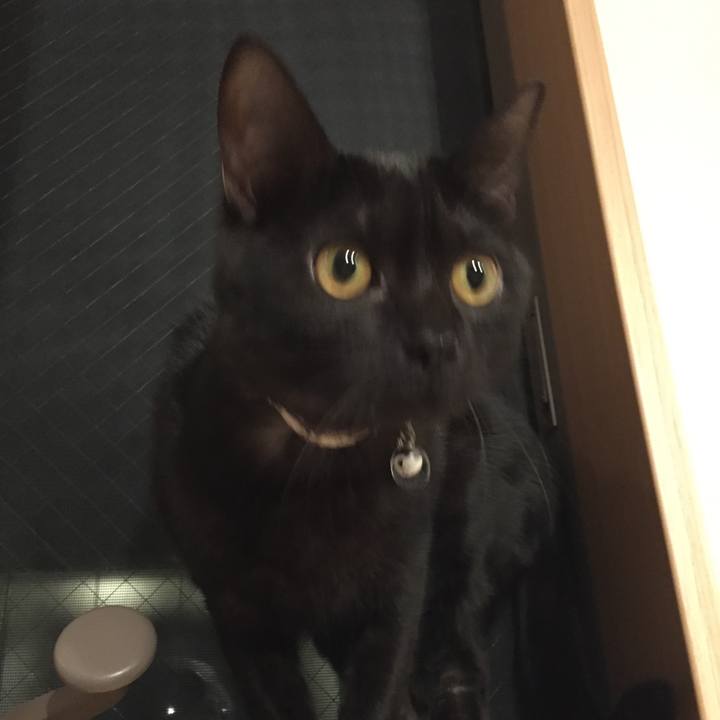 A89b0a99 7270 43dd 8b4a 3b5a4b0bf483