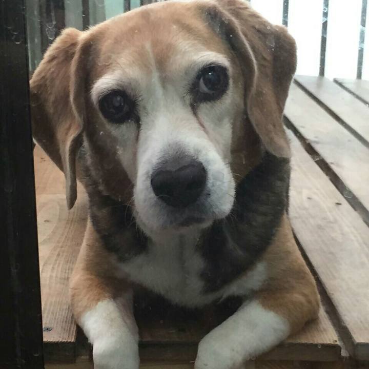 A89b7a15 bb17 497f adbe 3433d74eb40e