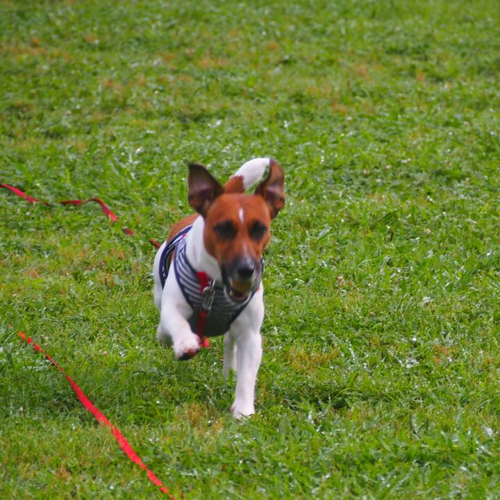 A89ba1b4 8495 4c03 9823 3326a257f036