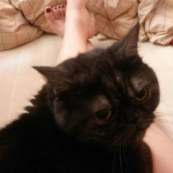 A89c8ed5 71ca 4c6e a2db a99f2da3e335