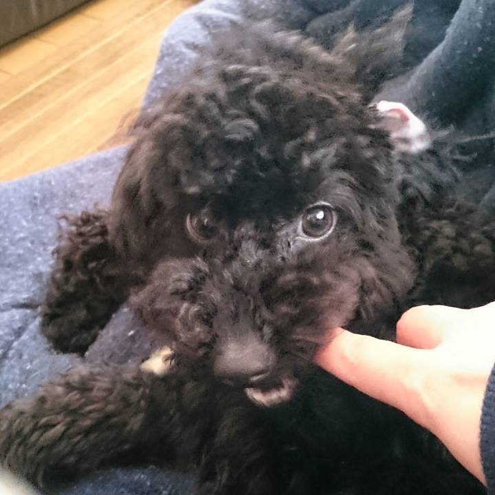 A89d75cf 985b 407d 821c cd2e01bfe755