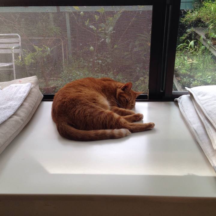 A89e33fb 9d93 468b b855 f385be020c3f