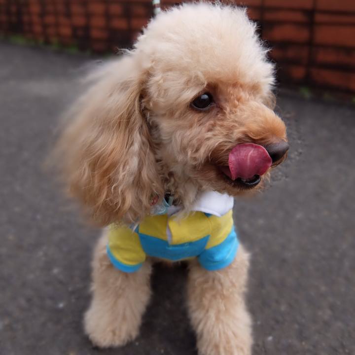 A89e35a5 5990 4591 b55c 71a284102a66