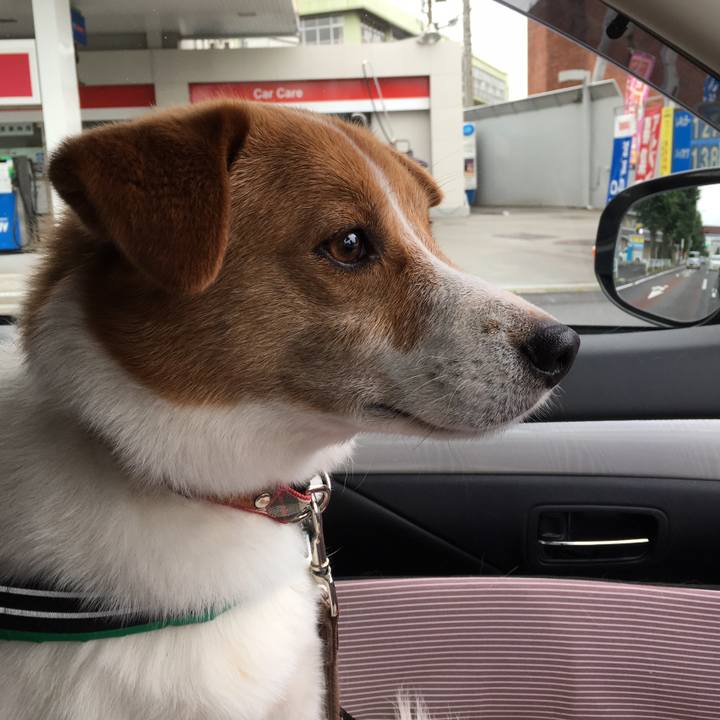 A8a0262c 9a32 4bf9 a375 192c23ec4093