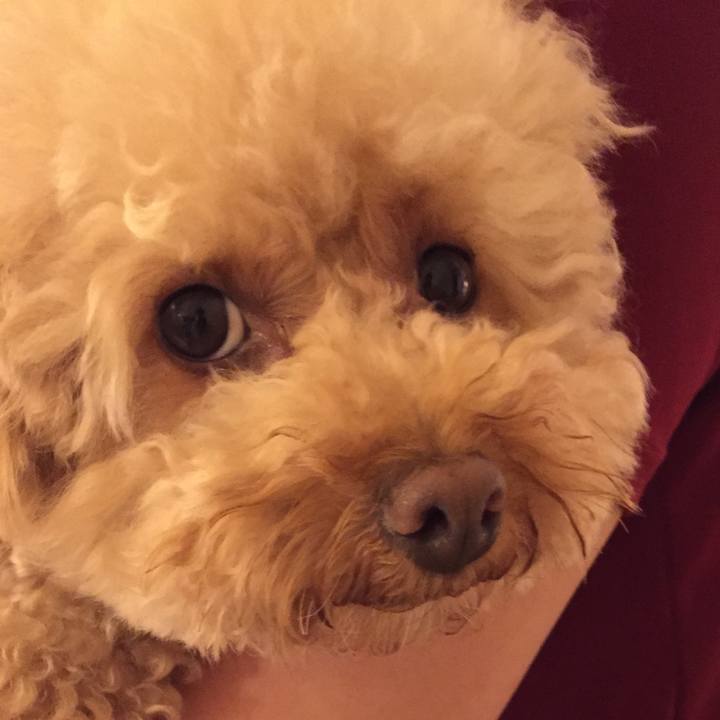 A8a05994 429e 49b9 ab68 f18fc155d410