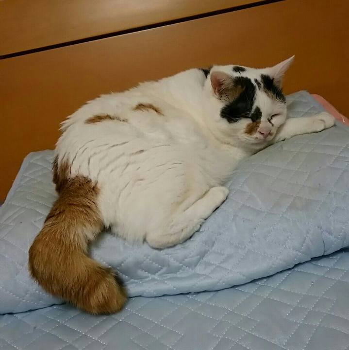 A8a09b84 147c 4b0b 871a fa84a8bbfa0f