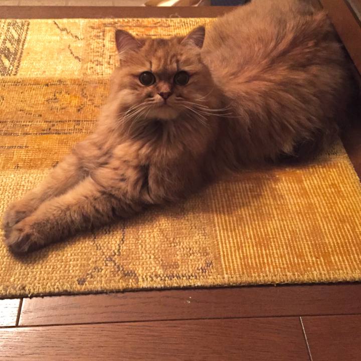 A8a0e05c bff5 484d bf97 e21cb731fd27