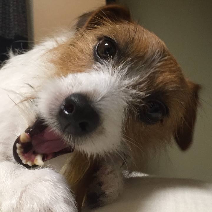 A8a1dbfc d46c 49c3 8a0b 2708befc0a01