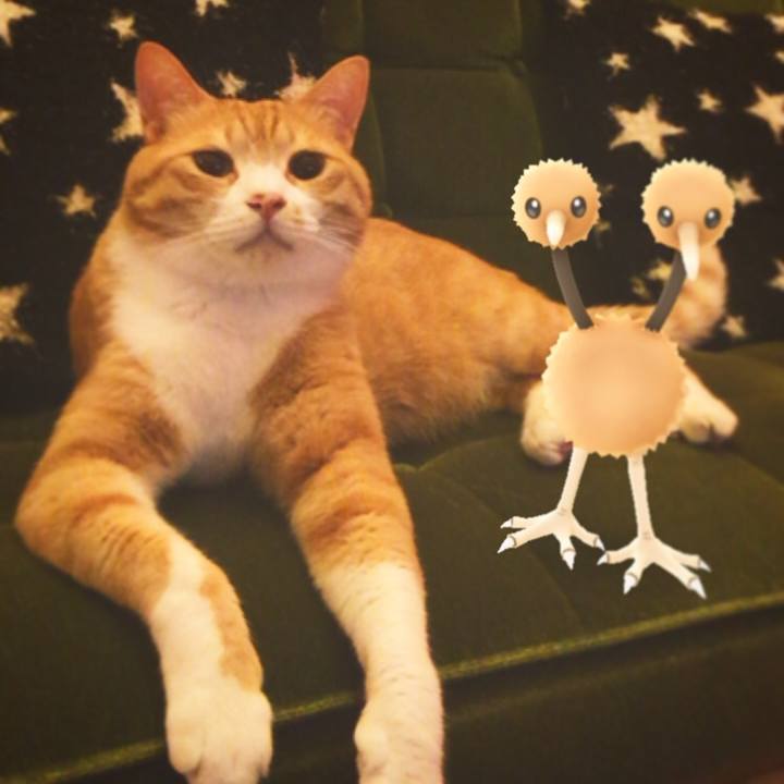 A8a2009e 4883 46ad 9820 2174998a0a93