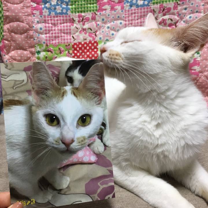 A8a22b3d f19e 43d9 8c1d 5240436389f8