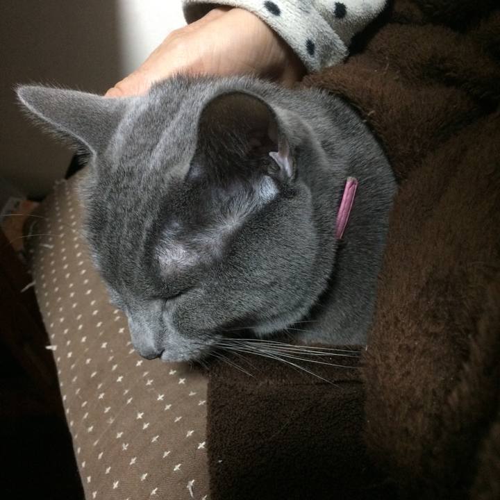 A8a2eab2 76c0 4b19 afe5 7b8c1b0211ac