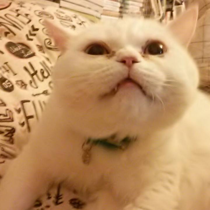 A8a371ea 6d5c 445a a3e4 11806cd2dfc4