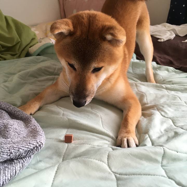 A8a3f039 dd40 4acb 934b ea87db76b75b